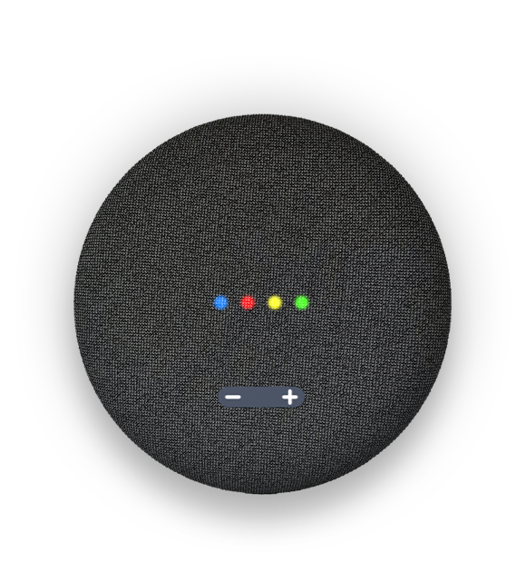 Google Voice Control